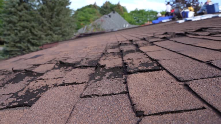 Best Gutter Installation and Repair  in Blue Jay, OH